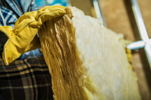 Best Cellulose Insulation in Wauseon, OH